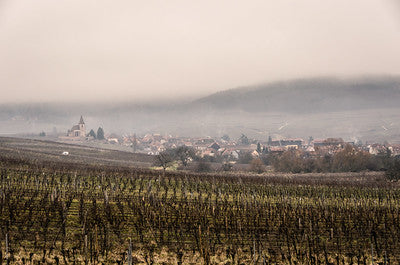 Alsace Gewurztraminer