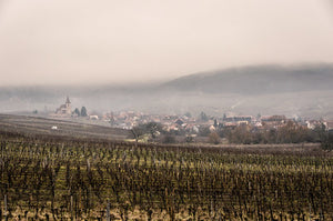 Alsace Gewurztraminer