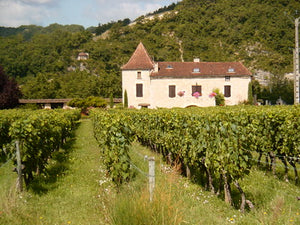 Cahors: the O.G. Malbec