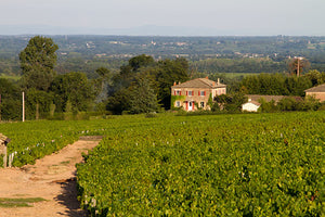 Fleurie: a little known crowd pleaser