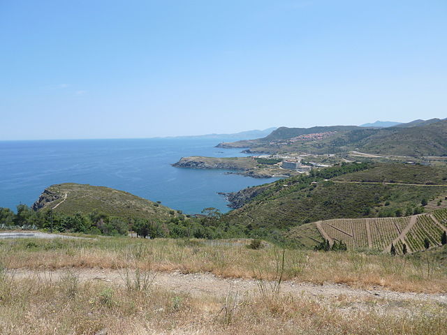 Banyuls rimage (mise précoce)